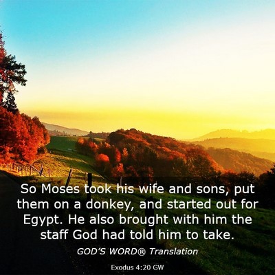 Picture 03 - Exodus 4:20 GW - So Moses took his wife and sons, put them on a - Bible Verse Picture