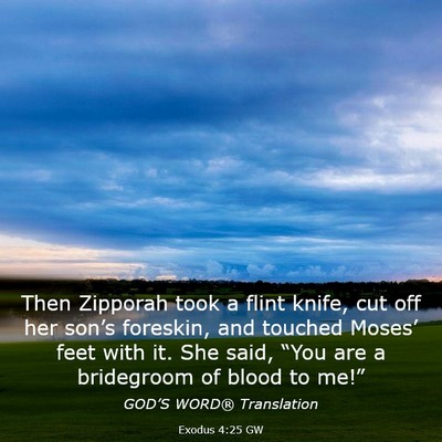 Picture 03 - Exodus 4:25 GW - Then Zipporah took a flint knife, cut off her - Bible Verse Picture