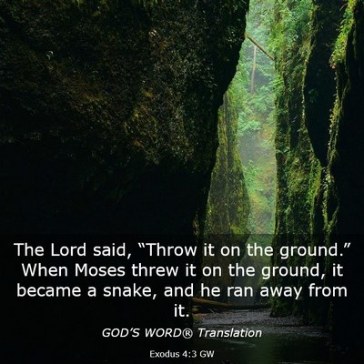 Picture 03 - Exodus 4:3 GW - The Lord said, “Throw it on the ground.” When - Bible Verse Picture