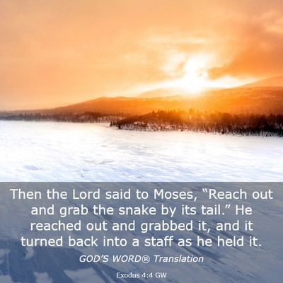 Picture 03 - Exodus 4:4 GW - Then the Lord said to Moses, “Reach out and - Bible Verse Picture