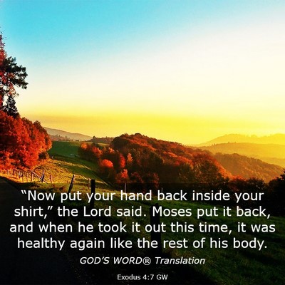 Picture 03 - Exodus 4:7 GW - “Now put your hand back inside your shirt,” - Bible Verse Picture