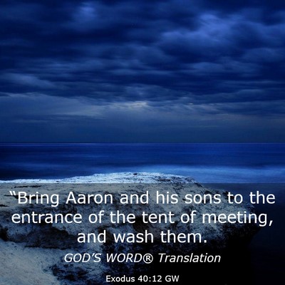 Picture 03 - Exodus 40:12 GW - “Bring Aaron and his sons to the entrance of - Bible Verse Picture