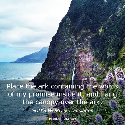 Picture 03 - Exodus 40:3 GW - Place the ark containing the words of my promise - Bible Verse Picture