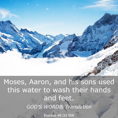 Picture 03 - Exodus 40:31 GW - Moses, Aaron, and his sons used this water to - Bible Verse Picture