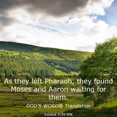 Picture 03 - Exodus 5:20 GW - As they left Pharaoh, they found Moses and Aaron - Bible Verse Picture