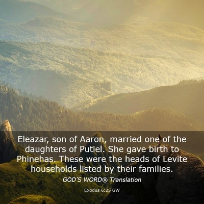 Picture 03 - Exodus 6:25 GW - Eleazar, son of Aaron, married one of the - Bible Verse Picture