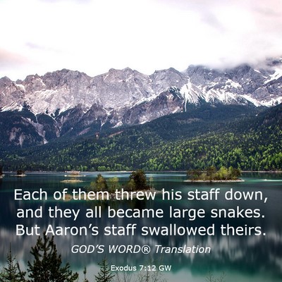 Picture 03 - Exodus 7:12 GW - Each of them threw his staff down, and they all - Bible Verse Picture