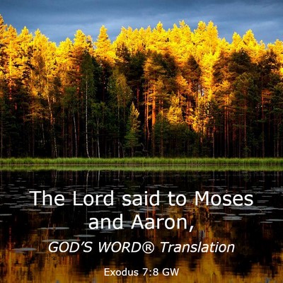Picture 03 - Exodus 7:8 GW - The Lord said to Moses and - Bible Verse Picture