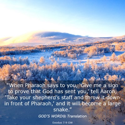 Picture 03 - Exodus 7:9 GW - “When Pharaoh says to you, ‘Give me a sign to - Bible Verse Picture