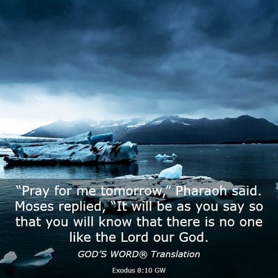 Picture 03 - Exodus 8:10 GW - “Pray for me tomorrow,” Pharaoh said. Moses - Bible Verse Picture