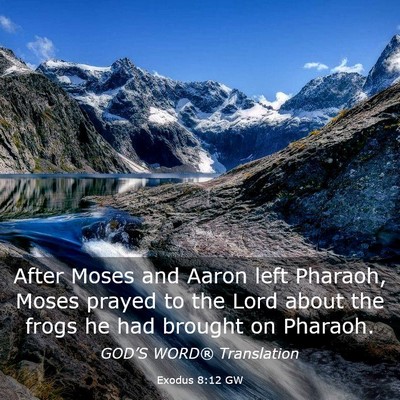 Picture 03 - Exodus 8:12 GW - After Moses and Aaron left Pharaoh, Moses prayed - Bible Verse Picture