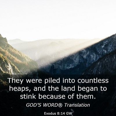 Picture 03 - Exodus 8:14 GW - They were piled into countless heaps, and the - Bible Verse Picture