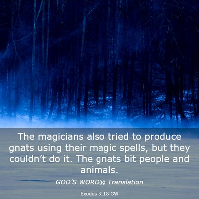 Picture 03 - Exodus 8:18 GW - The magicians also tried to produce gnats using - Bible Verse Picture