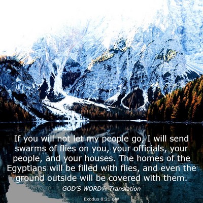 Picture 03 - Exodus 8:21 GW - If you will not let my people go, I will send - Bible Verse Picture