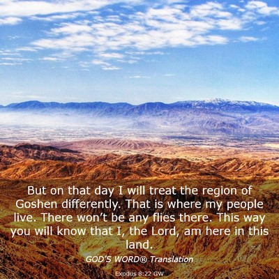 Picture 03 - Exodus 8:22 GW - But on that day I will treat the region of Goshen - Bible Verse Picture