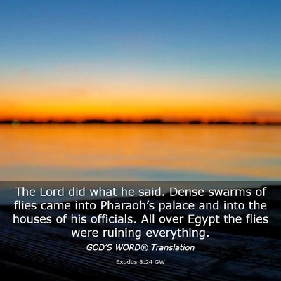 Picture 03 - Exodus 8:24 GW - The Lord did what he said. Dense swarms of flies - Bible Verse Picture