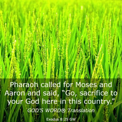 Picture 03 - Exodus 8:25 GW - Pharaoh called for Moses and Aaron and said, - Bible Verse Picture