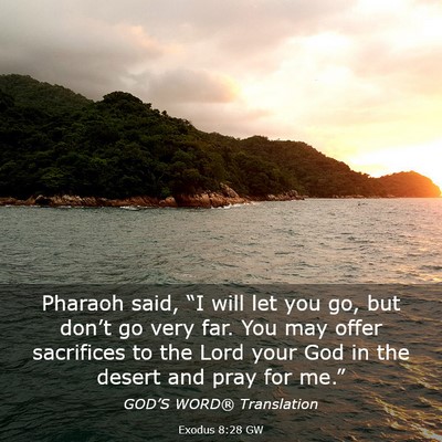Picture 03 - Exodus 8:28 GW - Pharaoh said, “I will let you go, but don’t - Bible Verse Picture