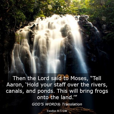 Picture 03 - Exodus 8:5 GW - Then the Lord said to Moses, “Tell Aaron, - Bible Verse Picture