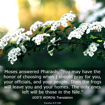 Picture 03 - Exodus 8:9 GW - Moses answered Pharaoh, “You may have the honor - Bible Verse Picture