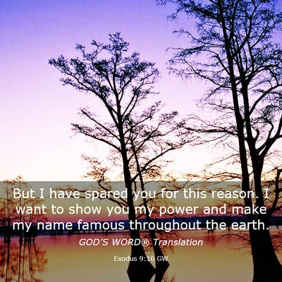 Picture 03 - Exodus 9:16 GW - But I have spared you for this reason. I want to - Bible Verse Picture