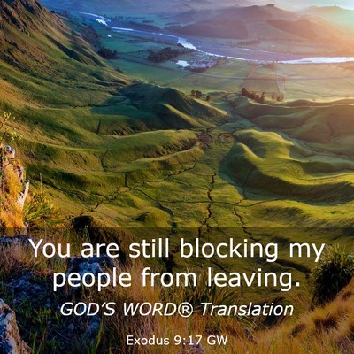 Picture 03 - Exodus 9:17 GW - You are still blocking my people from - Bible Verse Picture