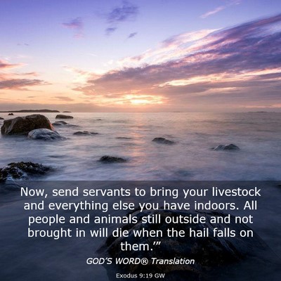 Picture 03 - Exodus 9:19 GW - Now, send servants to bring your livestock and - Bible Verse Picture