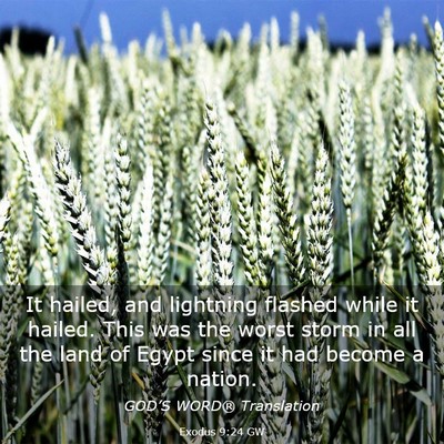 Picture 03 - Exodus 9:24 GW - It hailed, and lightning flashed while it hailed. - Bible Verse Picture