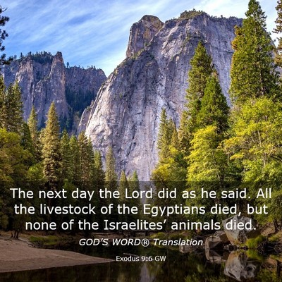 Picture 03 - Exodus 9:6 GW - The next day the Lord did as he said. All the - Bible Verse Picture