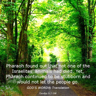 Picture 03 - Exodus 9:7 GW - Pharaoh found out that not one of the - Bible Verse Picture