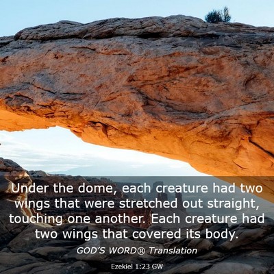 Picture 03 - Ezekiel 1:23 GW - Under the dome, each creature had two wings that - Bible Verse Picture