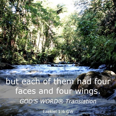 Picture 03 - Ezekiel 1:6 GW - but each of them had four faces and four - Bible Verse Picture
