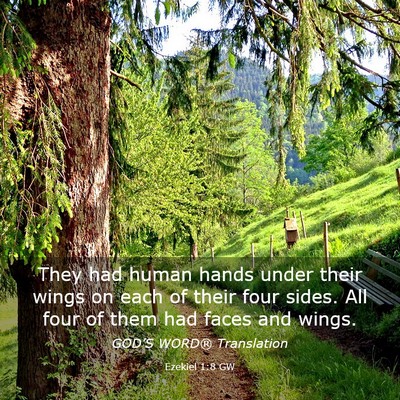 Picture 03 - Ezekiel 1:8 GW - They had human hands under their wings on each of - Bible Verse Picture