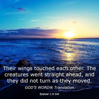 Picture 03 - Ezekiel 1:9 GW - Their wings touched each other. The creatures - Bible Verse Picture
