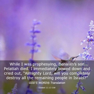 Picture 03 - Ezekiel 11:13 GW - While I was prophesying, Benaiah’s son Pelatiah - Bible Verse Picture