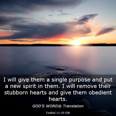 Picture 03 - Ezekiel 11:19 GW - I will give them a single purpose and put a new - Bible Verse Picture