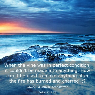 Picture 03 - Ezekiel 15:5 GW - When the vine was in perfect condition, it - Bible Verse Picture