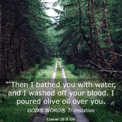 Picture 03 - Ezekiel 16:9 GW - “‘Then I bathed you with water, and I washed - Bible Verse Picture