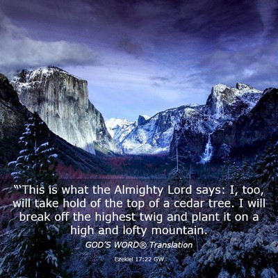 Picture 03 - Ezekiel 17:22 GW - “‘This is what the Almighty Lord says: I, - Bible Verse Picture