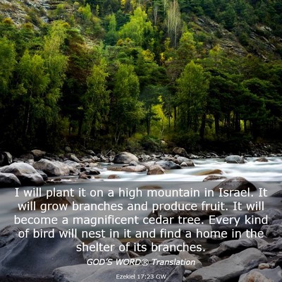 Picture 03 - Ezekiel 17:23 GW - I will plant it on a high mountain in Israel. It - Bible Verse Picture