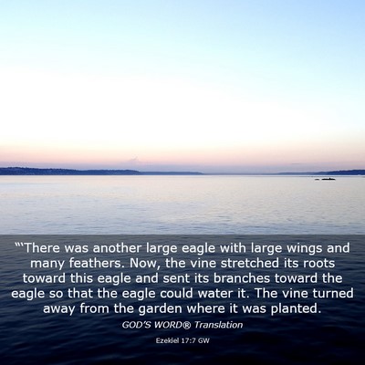 Picture 03 - Ezekiel 17:7 GW - “‘There was another large eagle with large - Bible Verse Picture