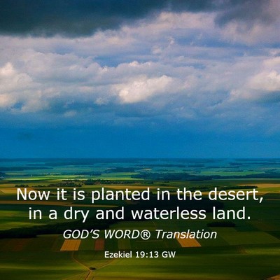 Picture 03 - Ezekiel 19:13 GW - Now it is planted in the desert, in a dry and - Bible Verse Picture