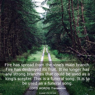 Picture 03 - Ezekiel 19:14 GW - Fire has spread from the vine’s main branch. - Bible Verse Picture
