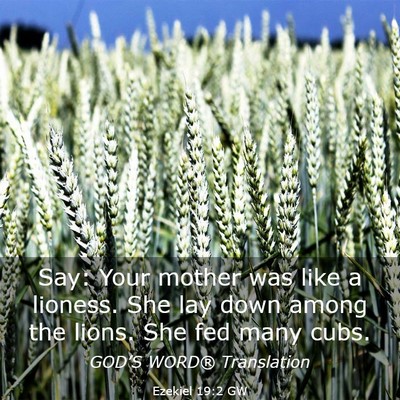 Picture 03 - Ezekiel 19:2 GW - Say: Your mother was like a lioness. She lay down - Bible Verse Picture