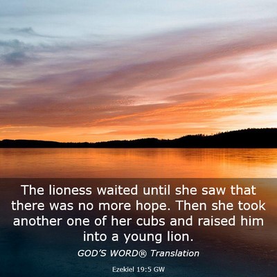 Picture 03 - Ezekiel 19:5 GW - The lioness waited until she saw that there was - Bible Verse Picture