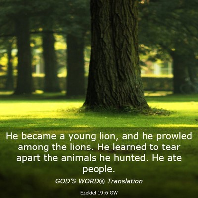 Picture 03 - Ezekiel 19:6 GW - He became a young lion, and he prowled among the - Bible Verse Picture