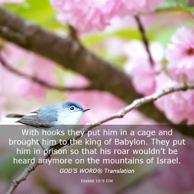 Picture 03 - Ezekiel 19:9 GW - With hooks they put him in a cage and brought him - Bible Verse Picture