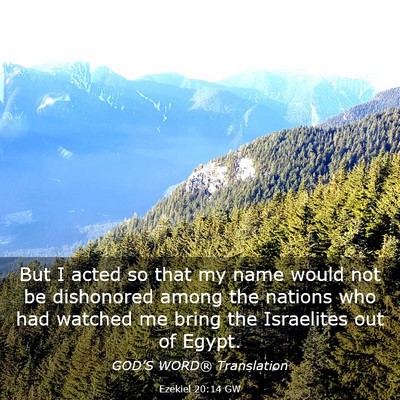 Picture 03 - Ezekiel 20:14 GW - But I acted so that my name would not be - Bible Verse Picture