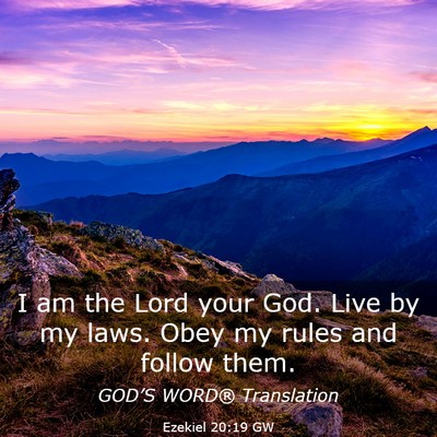 Picture 03 - Ezekiel 20:19 GW - I am the Lord your God. Live by my laws. Obey my - Bible Verse Picture
