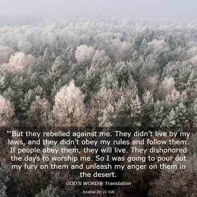 Picture 03 - Ezekiel 20:21 GW - “‘But they rebelled against me. They didn’t - Bible Verse Picture